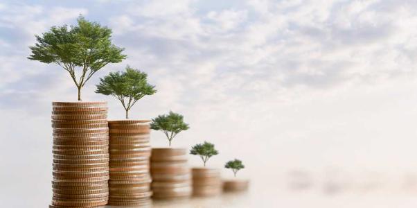 coins stacked with trees growing on top money investment